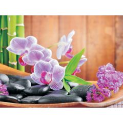 115 - Orchidea
