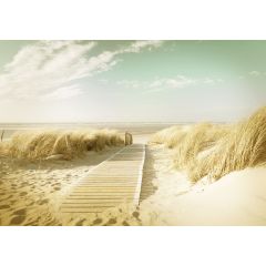 11600 - Plaża