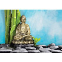 12794 - Budda