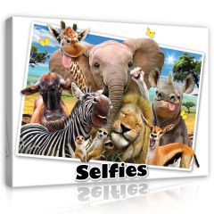 12804 - Zoo- Selfies