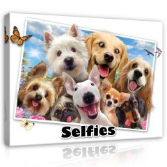 12806 - Pieski- Selfies