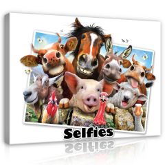 12808 - Farma- Selfies