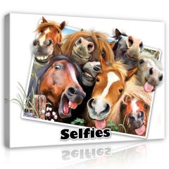 12809 - Konie- Selfies