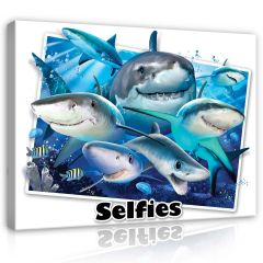 12814 - Rekiny- Selfies