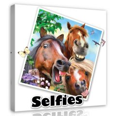 12816 - Selfies- Konie