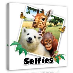 12822 - Zoo- Selfies