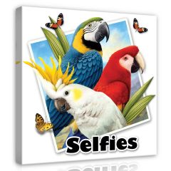 12833 - Papugi- selfies