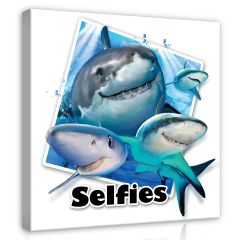 12837 - Rekiny- Selfies