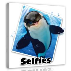 12841 - Orka- Selfies