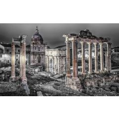 1334 - Forum Romanum