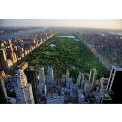 14616 - Nowy Jork Central Park