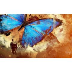 192 - Motyl