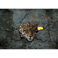 2771 - Jaguar zza cementowej ściany