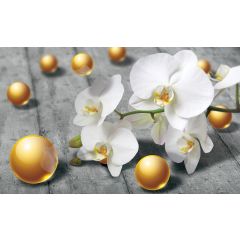 3067 - Orchidee