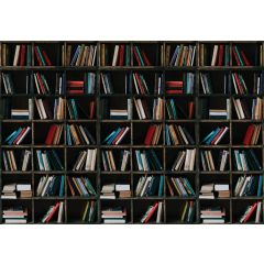 12168 - książki na półce