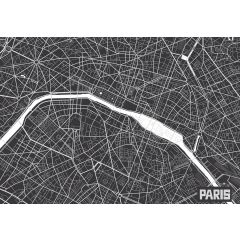 12733 - Mapa Paryża