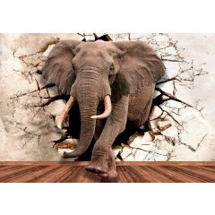 14437 - 3D ściana słoń imitacja