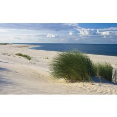 655 - Plaża Morza Północnego